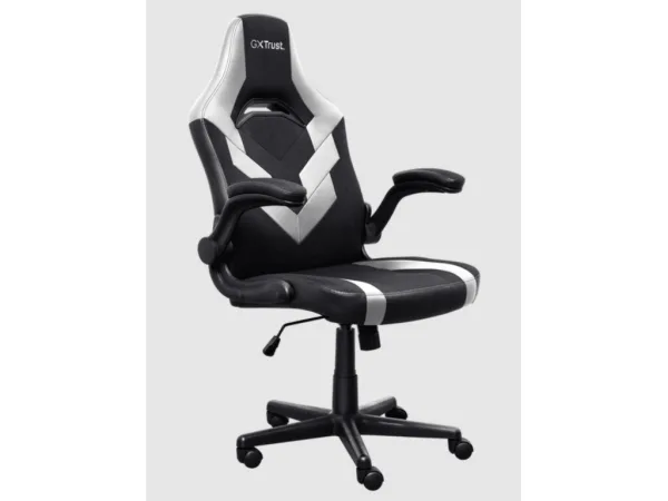 TRUST GXT 703W Riye Comfortable adjustable gaming chair,flip-up armrests, Max weight 140kg,White