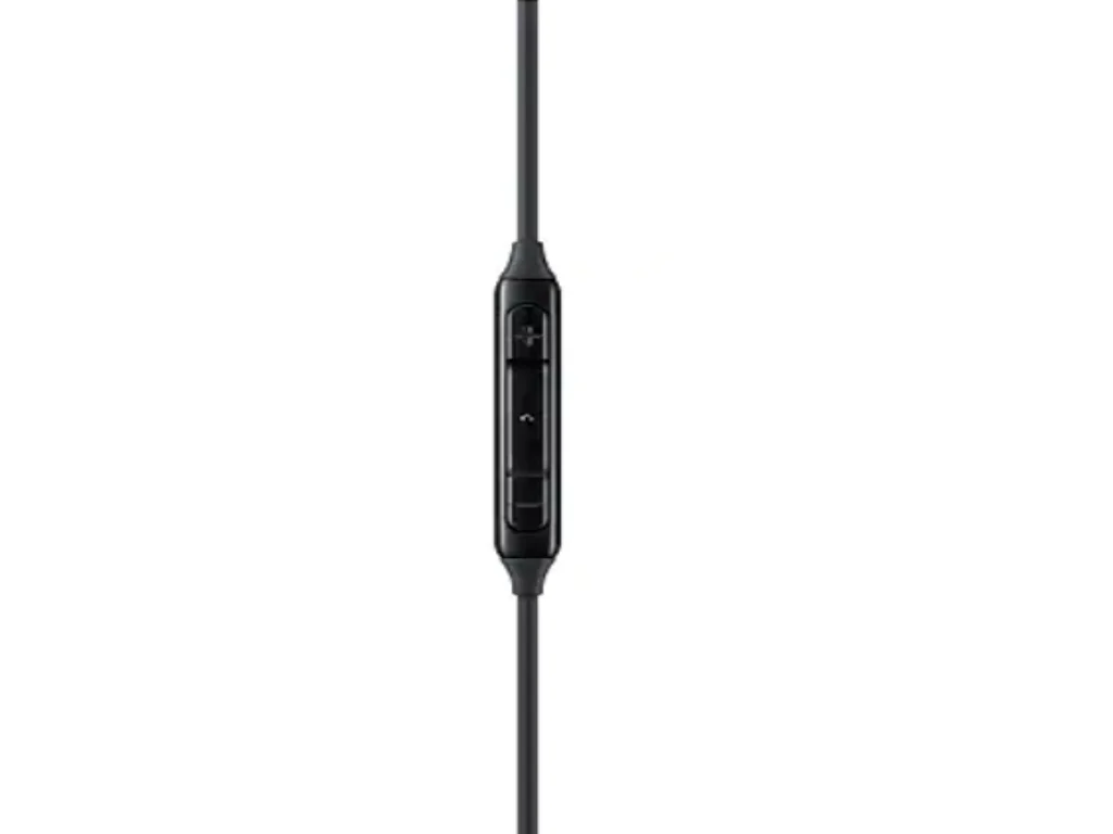 Samsung EO-IC100BBEGEU  žične stereo slušalice Type-C, Black